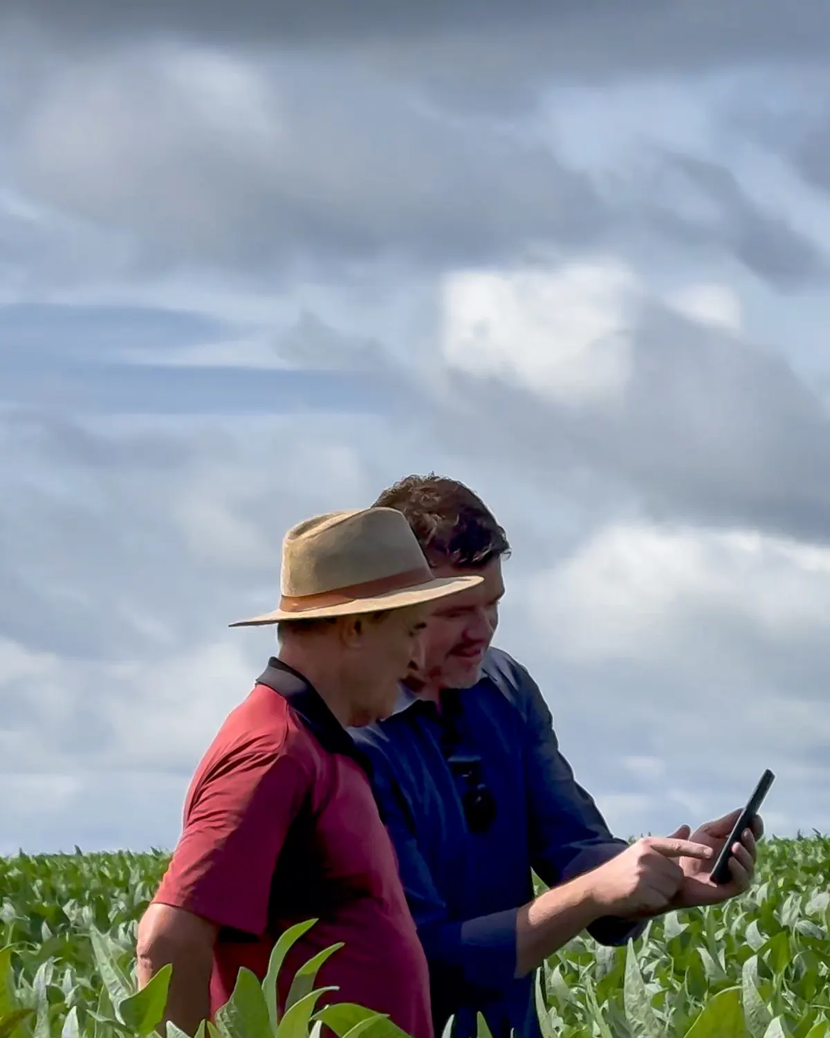 Dois produtores na lavoura de soja olhando juntos a tela do celular